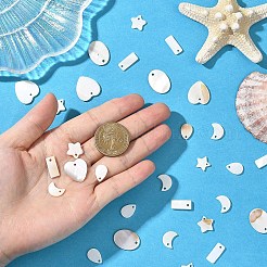 60Pcs 6 Styles Natural Freshwater Shell Pendants&nbsp;SHEL-YW0001-21