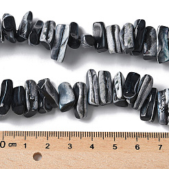 1 Strand Dyed Natural Trochus Shell Beads Strands&nbsp;SSHEL-PA0001-01C