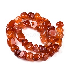 Natural Dyed & Heated Agate Beads Strands&nbsp;G-N342-65C