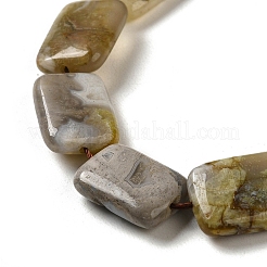 Natural Bamboo Leaf Agate Beads Strands&nbsp;G-NH0014-E01-01