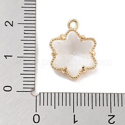 Brass Inlay Clear Glass Pendants&nbsp;KK-Z061-05G