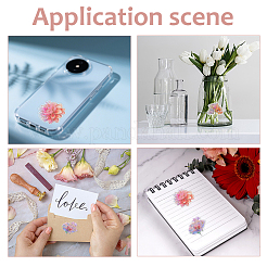 30Pcs 30 Styles Waterproof 3D Laser Adhesive Stickers&nbsp;DIY-WH0308-779-1