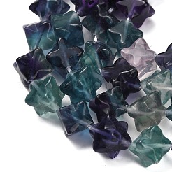Natural Fluorite Beads Strands&nbsp;G-L634-J04-D01