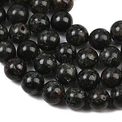 Natural Seraphinite Beads Strands&nbsp;G-H337-A03-04