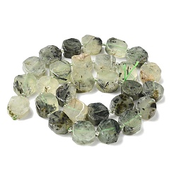 Natural Prehnite Beads Strands&nbsp;G-I394-D16