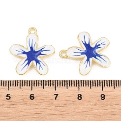 Alloy Enamel Pendants&nbsp;FIND-C095-06G