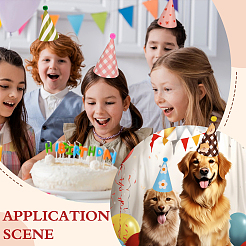 Paper Party Hats&nbsp;DIY-WH0591-295