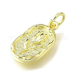 Brass Pendants&nbsp;KK-V007-14G