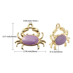 40Pcs 4 Colors Eco-Friendly Zinc Alloy Pendants&nbsp;ENAM-CJ0002-30