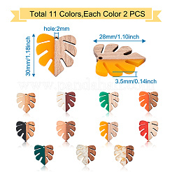 22Pcs 11 Colors Resin & Walnut Wood Pendants&nbsp;RESI-BT0001-06