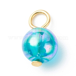 Transparent Acrylic Charms&nbsp;PALLOY-JF01813