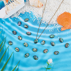 20Pcs Natural Paua Shell Cabochons with Enamel&nbsp;BSHE-WR0001-04