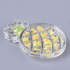 Transparent Acrylic Pendants&nbsp;TACR-R145-02
