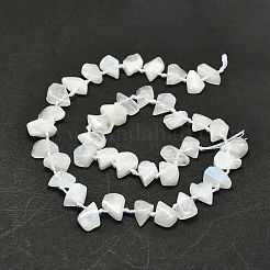 Raw Rough Natural Rainbow Moonstone Beads Strands&nbsp;G-E576-18