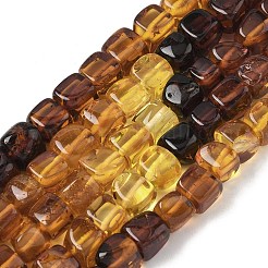 Natural Amber Beads Strands&nbsp;G-L095-E01-02