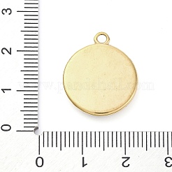 304 Stainless Steel Pendants&nbsp;STAS-V003-05G-08