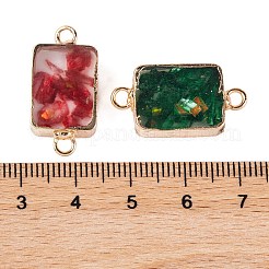 Dyed Natural Imperial Jasper & Resin Connector Charms&nbsp;G-B083-04G