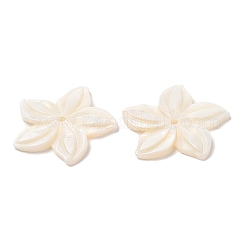 Natural Freshwater Shell Beads&nbsp;SHEL-F007-18