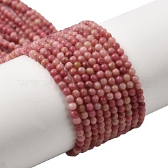 Natural Rhodonite Beads Strands&nbsp;G-G0005-B01