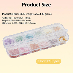 1 Set 12 Grid Nuggets Abalone Shell Nail Art Sequins for Woman Girls&nbsp;MRMJ-SP0001-06