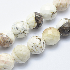 Natural Magnesite Beads Strands&nbsp;G-K226-8mm-01