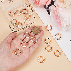 20Pcs Alloy Spring Gate Rings&nbsp;FIND-BBC0002-21G