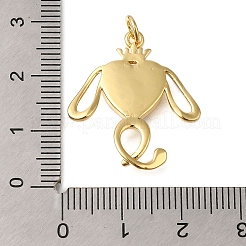 Rack Plating Brass Pave Natural Shell Pendants&nbsp;ZIRC-F142-05G