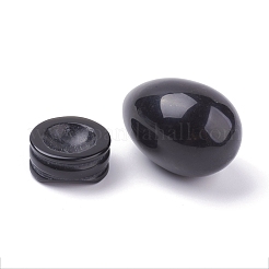 Natural Obsidian Display Decorations&nbsp;DJEW-G018-01