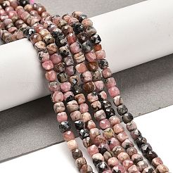 Natural Argentina Rhodonite Beads Strands&nbsp;LS-G-B107-B01-01