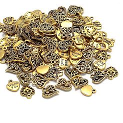 Tibetan Style Alloy Pendants&nbsp;TIBEP-MSMC012-1AG