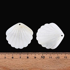 Carved Natural Freshwater Shell Pendants&nbsp;SHEL-T020-62C
