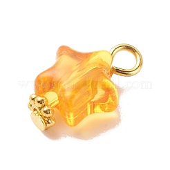 Transparent Acrylic Pendants&nbsp;PALLOY-JF01834-03