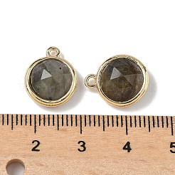 Natural Labradorite Faceted Flat Round Charms&nbsp;G-U028-03G-06