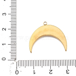 304 Stainless Steel Pendants&nbsp;STAS-R169-02B-G