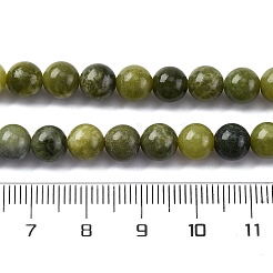 Natural Canada Jade Beads Strands&nbsp;G-NH0029-02C