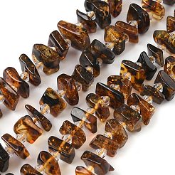 Natural Amber Beads Strands&nbsp;G-F802-A01-01