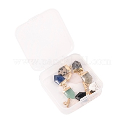 10Pcs 10 Style Natural Gemstone Pointed Pendants&nbsp;G-LS0002-04