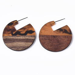 Transparent Resin & Walnut Wood Stud Earrings&nbsp;EJEW-T010-01