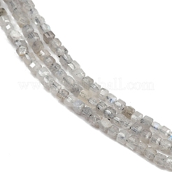 Natural Labradorite Beads Strands&nbsp;G-RM241221-K22