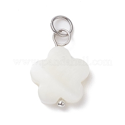 12Pcs 12 Styles Natural Freshwater Shell Big Pendants Set&nbsp;PALLOY-JF02079
