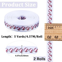 Polyester Ribbon&nbsp;OCOR-WH20061-001