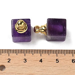 Natural Amethyst Perfume Bottle Pendants&nbsp;G-Z039-04G-04