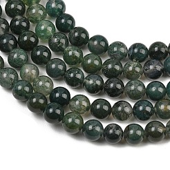 Natural Moss Agate Beads Strands&nbsp;G-F453-8mm