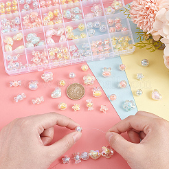Transparent Acrylic Beads&nbsp;TACR-PH0001-71