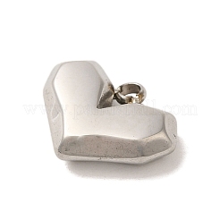 304 Stainless Steel Charms&nbsp;STAS-S131-06P
