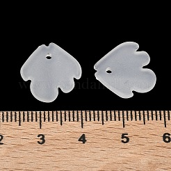 Frosted Acrylic Pendants&nbsp;SACR-F016-02A