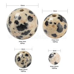 340Pcs 4 Style Natural Dalmatian Jasper Beads&nbsp;G-LS0001-48