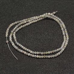 Natural Labradorite Beads Strands&nbsp;G-K182-2mm-25B