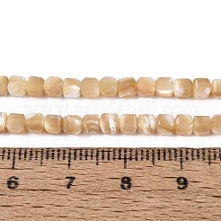 Natural Trochid Shell/Trochus Shell Beads Strands&nbsp;BSHE-T014-52B-01