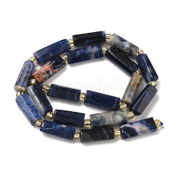 Natural Sodalite Beads Strands&nbsp;G-D353-A22
